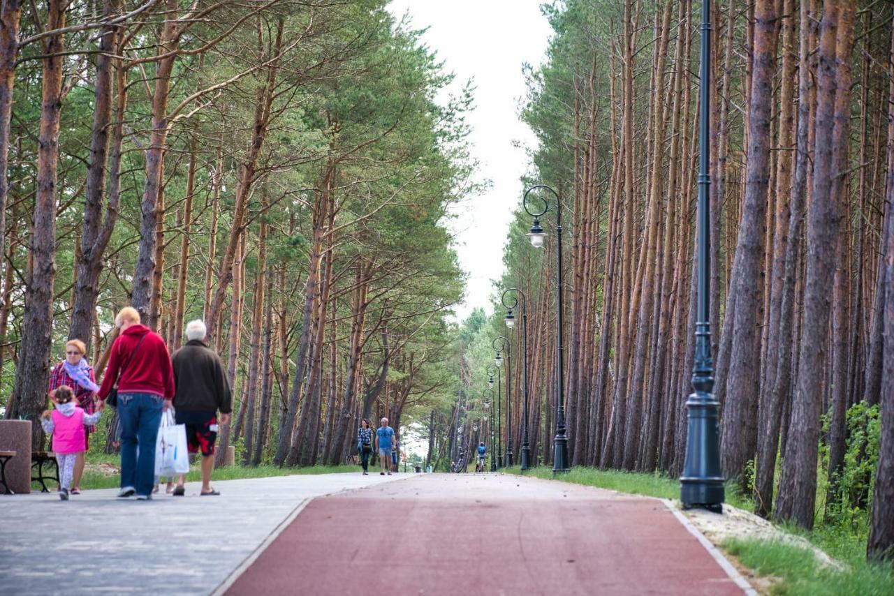 Bed and Breakfast Natura Mierzei 30 - Pokoje Z Widokiem Na Baltyk Krynica Morska Exteriér fotografie